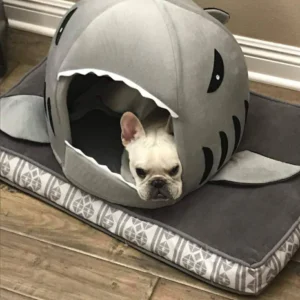 House for frenchie (shark Bed) (WS14)