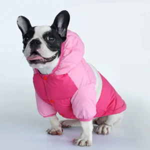 French Bulldog Clothes