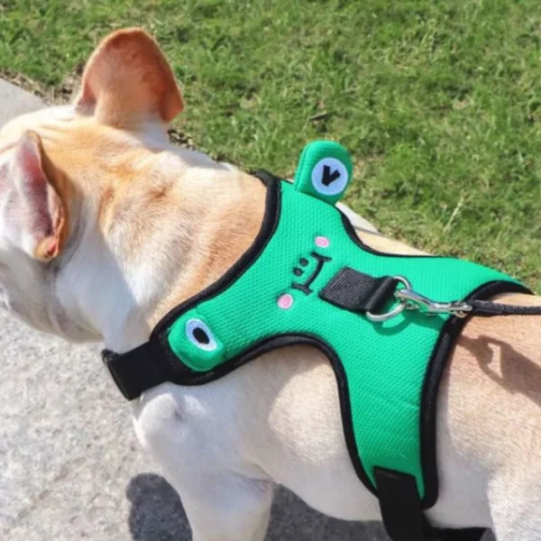 Soft Mesh Frenchie Harness with Leash – Escape-Proof Durable and Stylish Fit - Image 3