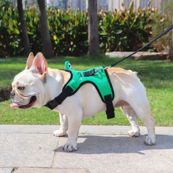 Soft Mesh Frenchie Harness with Leash – Escape-Proof Durable and Stylish Fit - Image 4