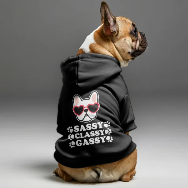 Sassy, classy, gassy - Personalized French Bulldog Hoodies with Funny Quotes – Stylish, Cozy, and Premium 100% Cotton - Image 2