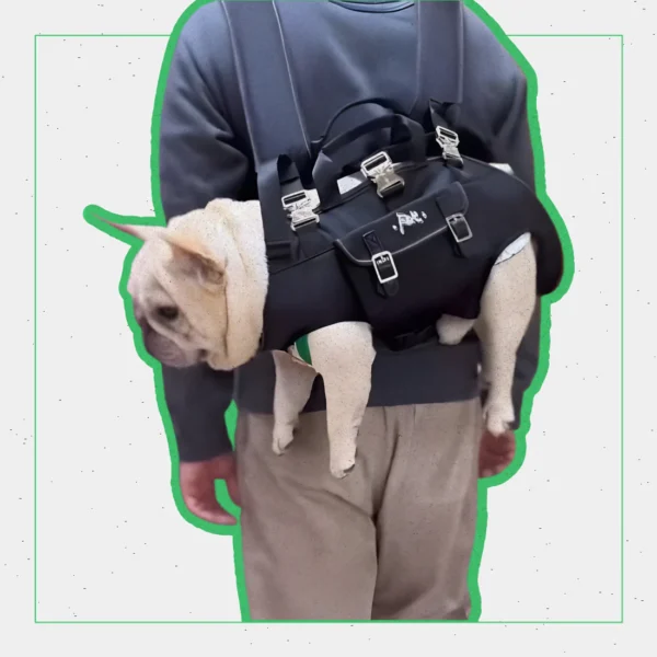 CarryPaw Frenchie Side Carry Backpack – Portable Lightweight and Secure Pet Carrier Bag - Image 4