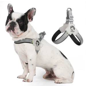 LightLatch No pull Frenchie Reflective Harness