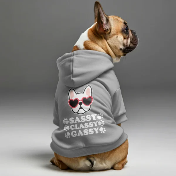 Sassy, classy, gassy - Personalized French Bulldog Hoodies with Funny Quotes – Stylish, Cozy, and Premium 100% Cotton - Image 3
