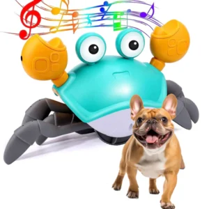 CrabToy™ - Frenchie interactive Toy