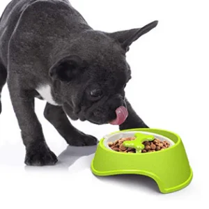 Slow Feeder Bowl (WS73)